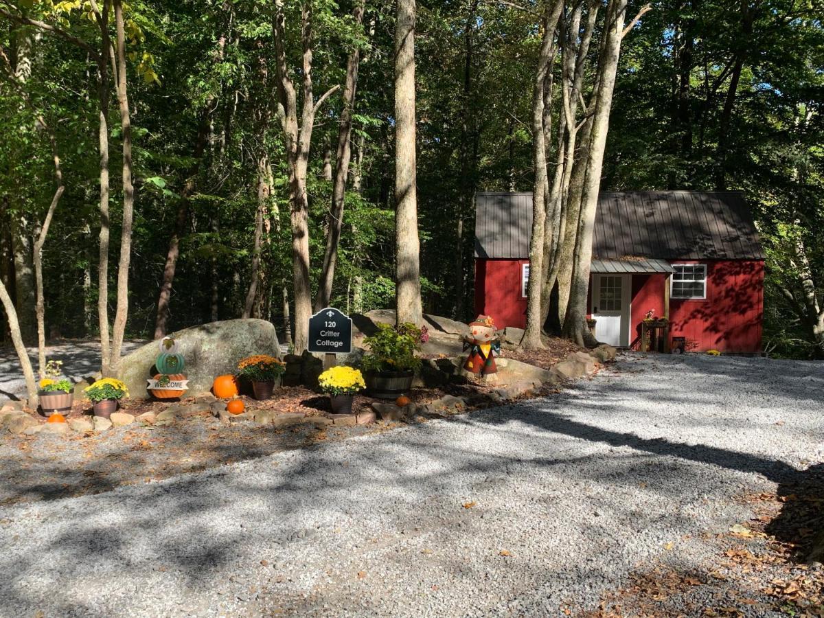 Coops Creek Cabins Dunlap Extérieur photo